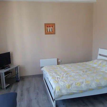 S. Neries Gatves Apartamentai كلابيدا